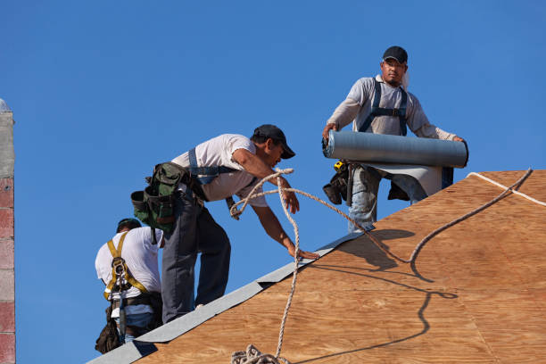 Best Shingle Roofing Installation  in Bluffton, IN